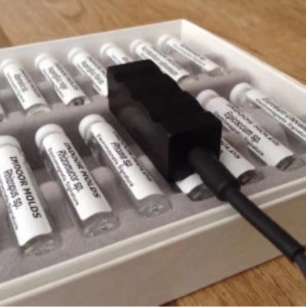 Terapia Biocampo Bioenergética Cuántica